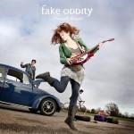 Fake Oddity : Happy anniversaire ! Rock Pop Folk rock decines concerts 2 amply couv fake oddity 150x150 Fake Oddity : Happy anniversaire !